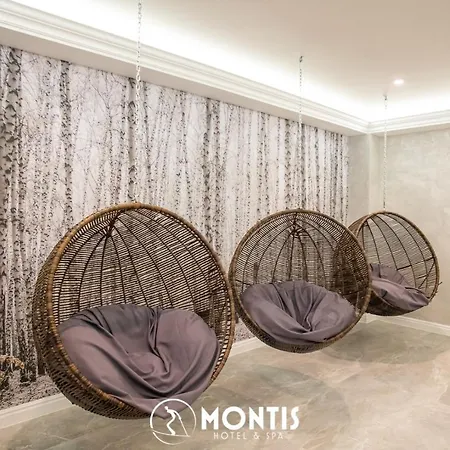 Montis & Hotel 4*