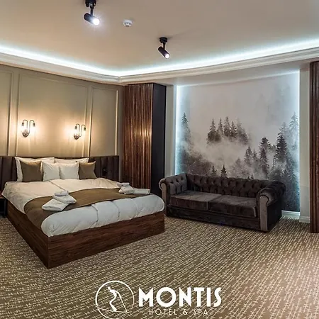 Hotel Montis &